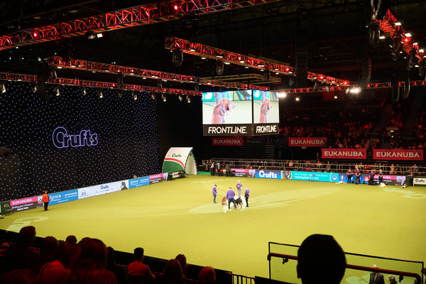 Stadium Screens