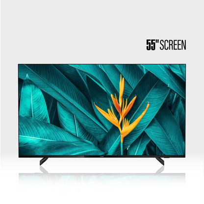 Phillips 55" Media Suite TV
