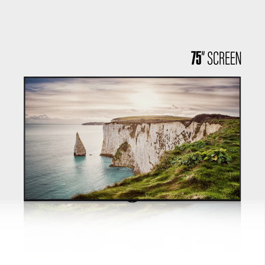 VESTEL 75" Signage Display