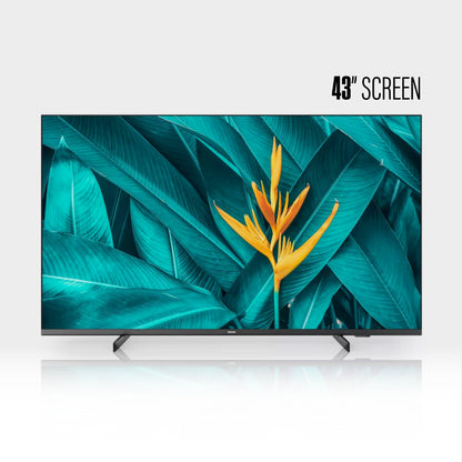 Phillips 43" Professional TV