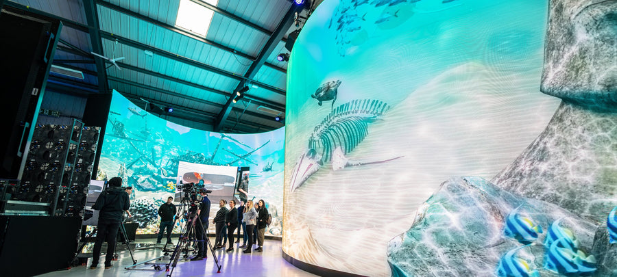 Exhibitions and trade shows